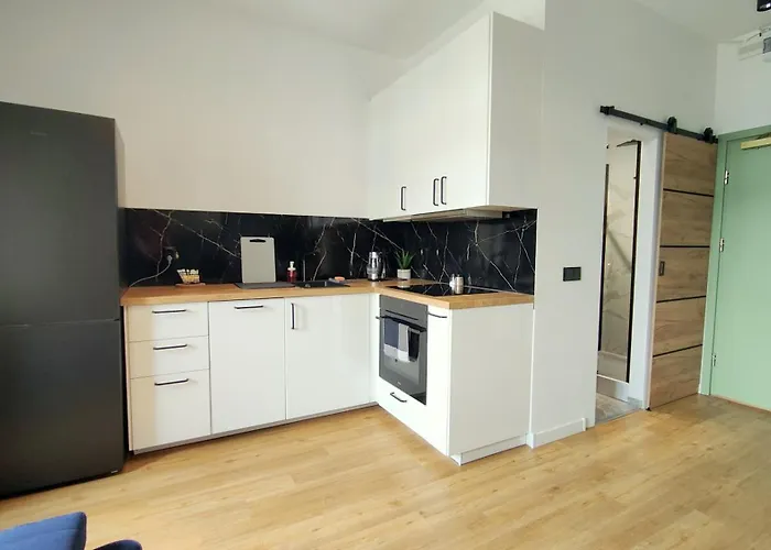 Lejlighed Euforia Łódź